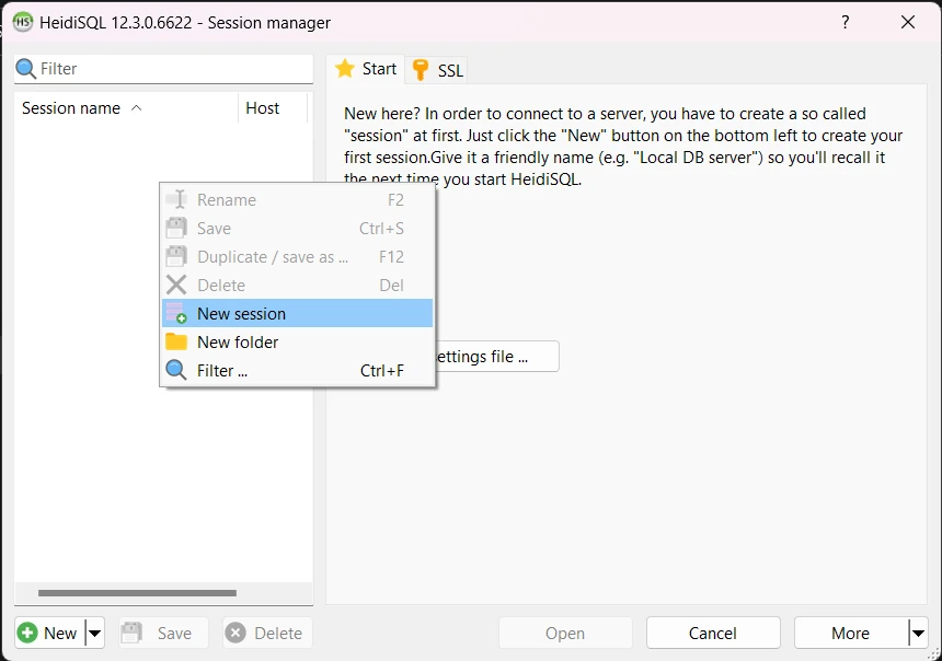 How to connect and use HeidiSQL with MySQL 1 new session in heidisql
