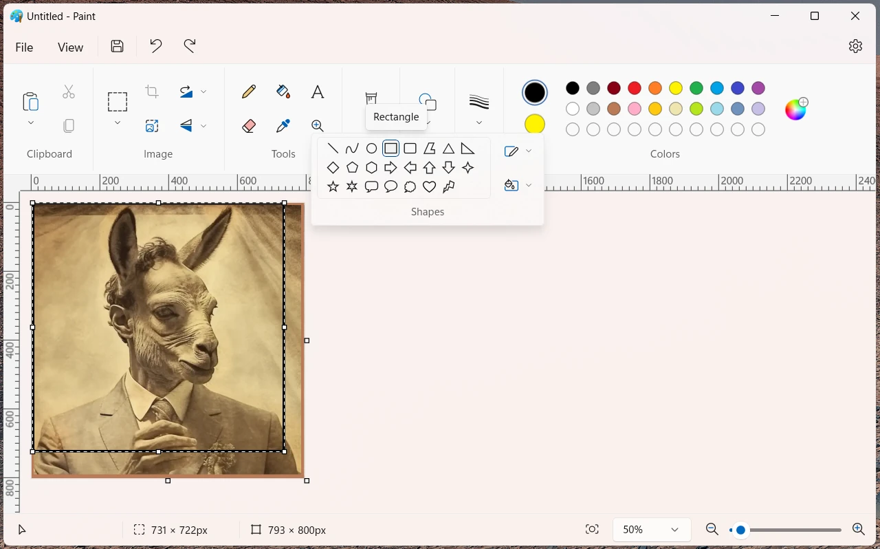 How to Create a Border in MS Paint 1 frame in ms paint using rectangle